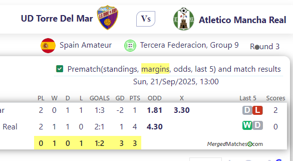 UD Torre Del Mar Vs Atletico Mancha Real screenshot