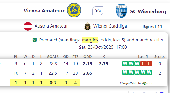 Vienna Amateure Vs SC Wienerberg screenshot