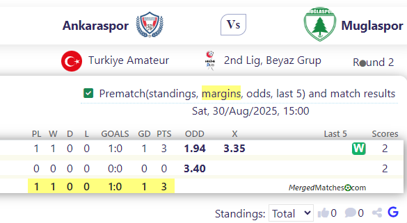Ankaraspor Vs Muglaspor screenshot