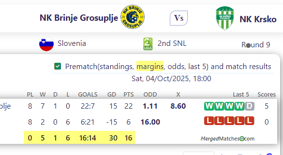 NK Brinje Grosuplje Vs NK Krsko screenshot