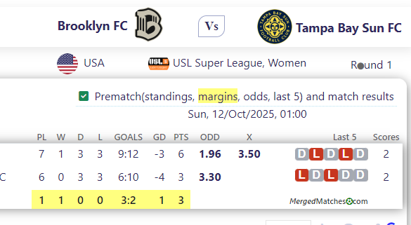 Brooklyn FC Vs Tampa Bay Sun FC screenshot