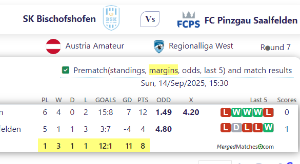 SK Bischofshofen Vs FC Pinzgau Saalfelden screenshot