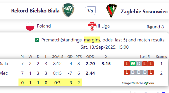Rekord Bielsko Biala Vs Zaglebie Sosnowiec screenshot