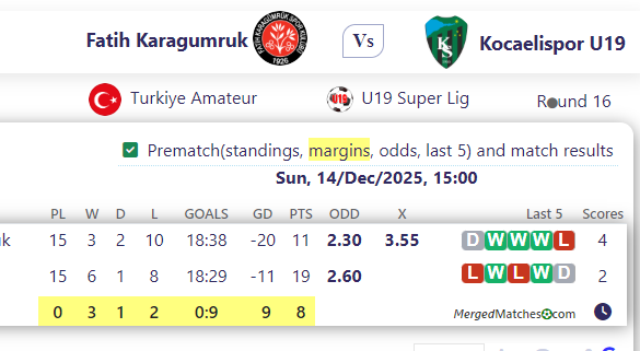 Fatih Karagumruk Vs Kocaelispor U19 screenshot