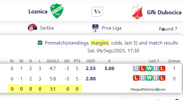 Loznica Vs Gfk Dubocica screenshot
