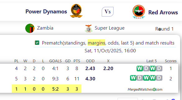 Power Dynamos Vs Red Arrows screenshot