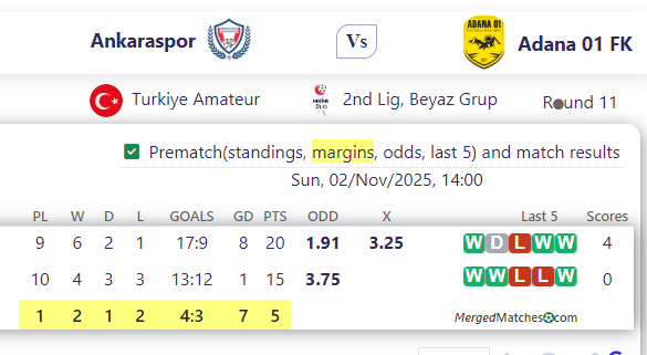 Ankaraspor Vs Adana 01 FK screenshot