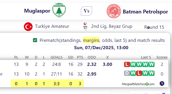 Muglaspor Vs Batman Petrolspor screenshot