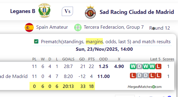 Leganes B Vs Sad Racing Ciudad de Madrid screenshot