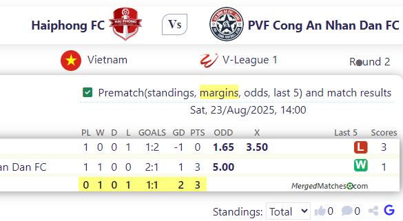 Haiphong FC Vs PVF Cong An Nhan Dan FC screenshot