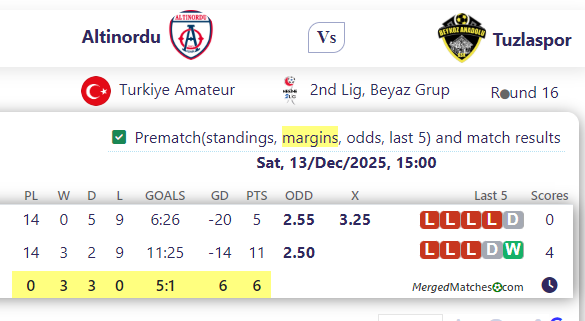 Altinordu Vs Tuzlaspor screenshot
