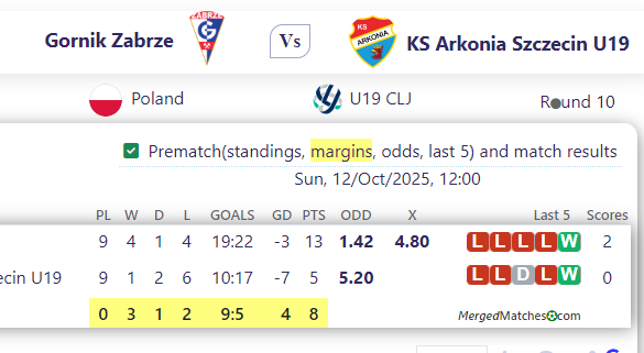 Gornik Zabrze Vs KS Arkonia Szczecin U19 screenshot