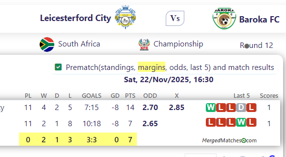 Leicesterford City Vs Baroka FC screenshot