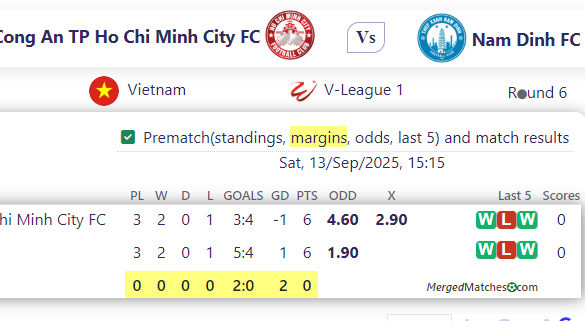 Cong An TP Ho Chi Minh City FC Vs Nam Dinh FC screenshot
