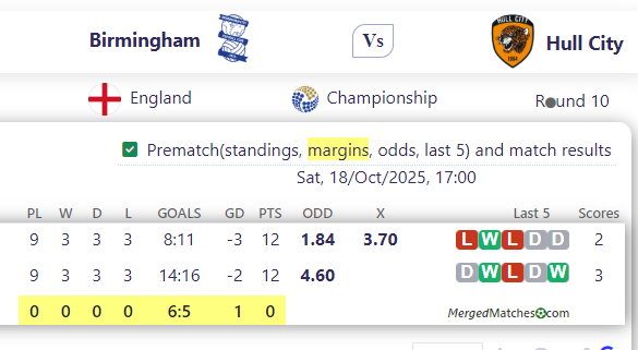 Birmingham Vs Hull City screenshot