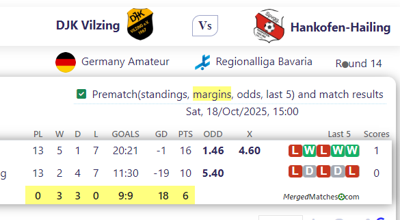 DJK Vilzing Vs Hankofen-Hailing screenshot