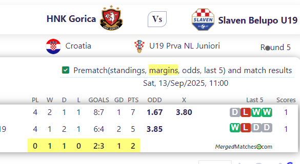 HNK Gorica Vs Slaven Belupo U19 screenshot