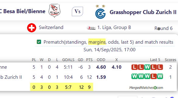 FC Besa Biel/Bienne Vs Grasshopper Club Zurich II screenshot