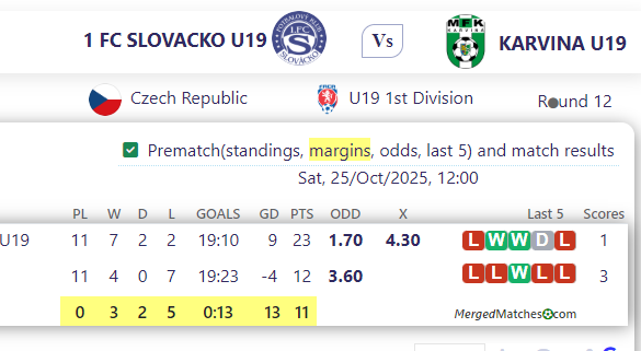 1 FC SLOVACKO U19 Vs KARVINA U19 screenshot