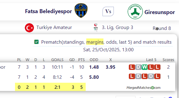 Fatsa Belediyespor Vs Giresunspor screenshot