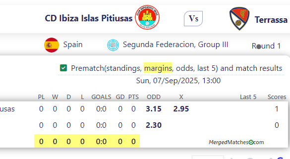 CD Ibiza Islas Pitiusas Vs Terrassa screenshot