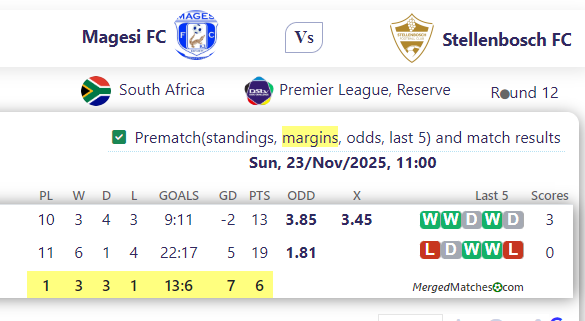 Magesi FC Vs Stellenbosch FC screenshot