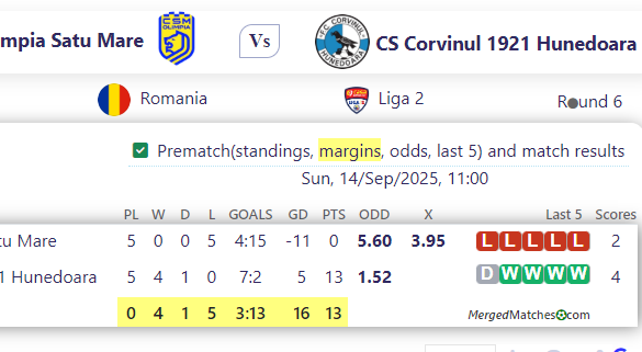 Csm Olimpia Satu Mare Vs CS Corvinul 1921 Hunedoara screenshot