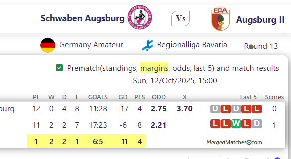 Schwaben Augsburg Vs Augsburg II screenshot