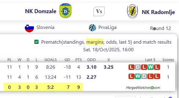 NK Domzale Vs NK Radomlje screenshot