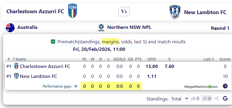 Charlestown Azzurri FC Vs New Lambton FC screenshot