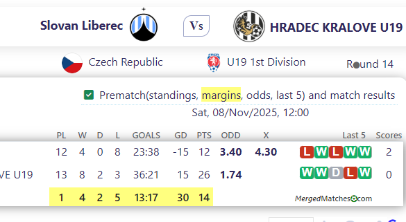 Slovan Liberec Vs HRADEC KRALOVE U19 screenshot