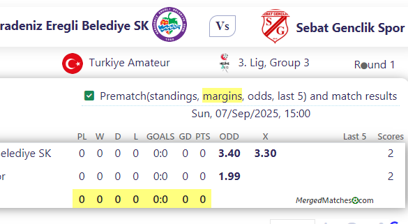 Karadeniz Eregli Belediye SK Vs Sebat Genclik Spor screenshot