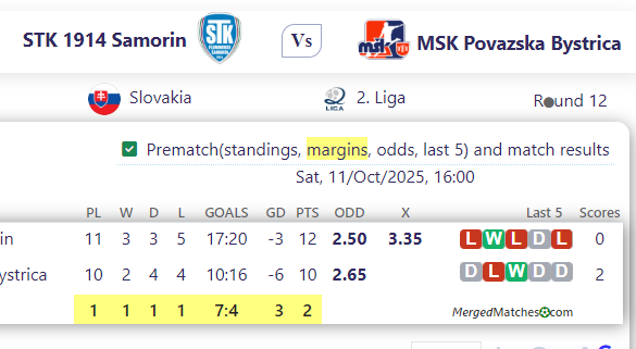 STK 1914 Samorin Vs MSK Povazska Bystrica screenshot