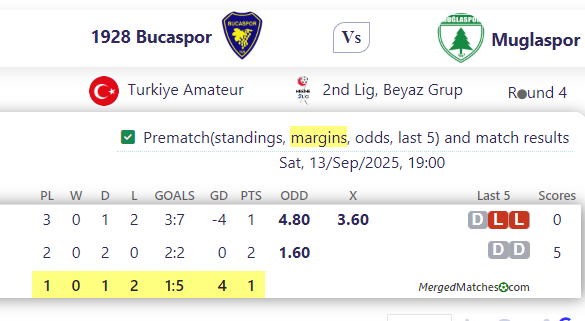 1928 Bucaspor Vs Muglaspor screenshot