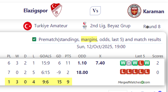 Elazigspor Vs Karaman screenshot