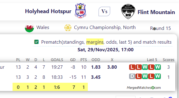 Holyhead Hotspur Vs Flint Mountain screenshot