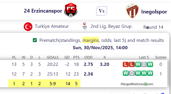 24 Erzincanspor Vs Inegolspor screenshot