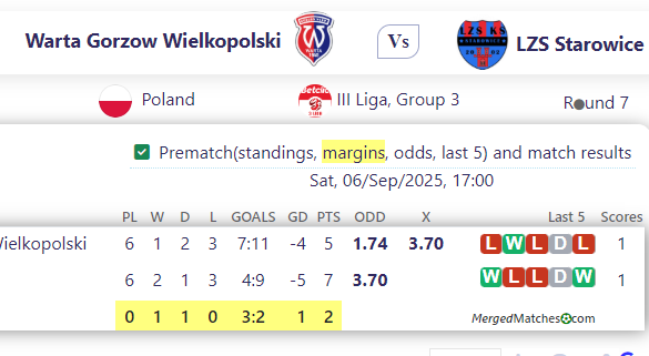 Warta Gorzow Wielkopolski Vs LZS Starowice screenshot