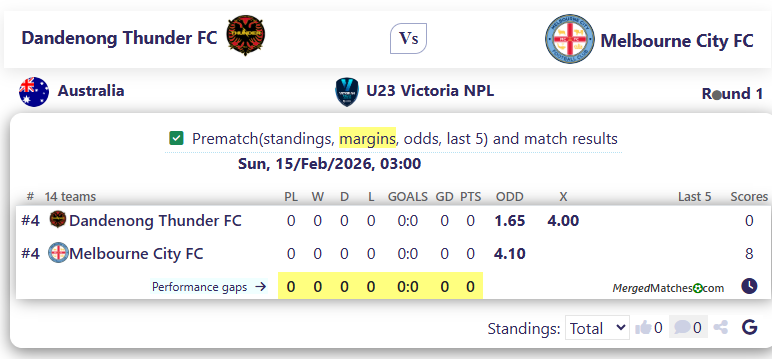 Dandenong Thunder FC Vs Melbourne City FC screenshot
