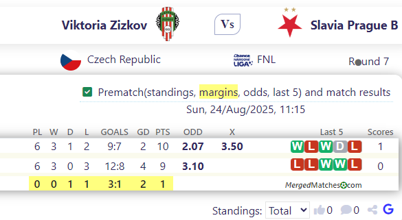 Viktoria Zizkov Vs Slavia Prague B screenshot