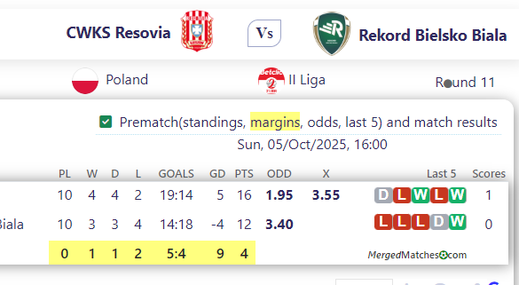 CWKS Resovia Vs Rekord Bielsko Biala screenshot