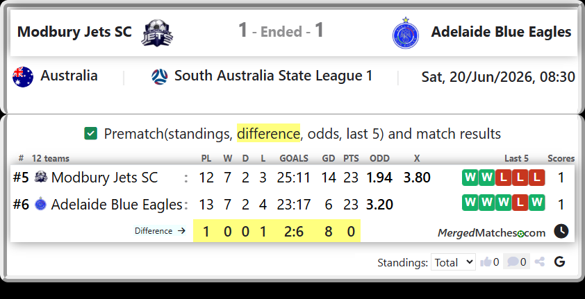 Modbury Jets SC Vs Adelaide Blue Eagles screenshot