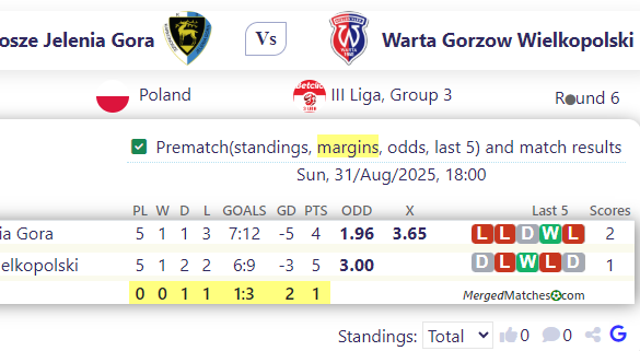 Karkonosze Jelenia Gora Vs Warta Gorzow Wielkopolski screenshot