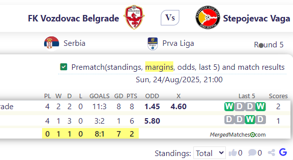 FK Vozdovac Belgrade Vs Stepojevac Vaga screenshot