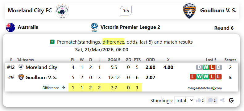 Moreland City FC Vs Goulburn V. S. screenshot