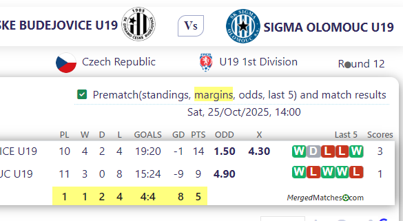 CESKE BUDEJOVICE U19 Vs SIGMA OLOMOUC U19 screenshot