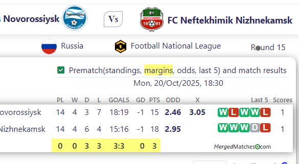 Chernomorets Novorossiysk Vs FC Neftekhimik Nizhnekamsk screenshot