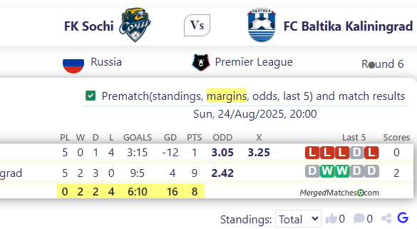 FK Sochi Vs FC Baltika Kaliningrad screenshot