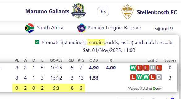 Marumo Gallants Vs Stellenbosch FC screenshot