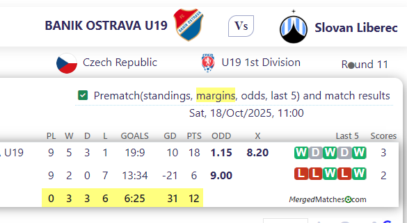 BANIK OSTRAVA U19 Vs Slovan Liberec screenshot